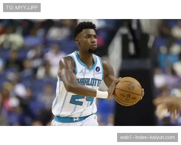 黄蜂外线投射效率提升 克努佩尔有望追平新秀三分纪录